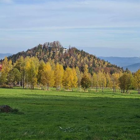 Rezydencja Green Hill - Ekskluzywny Dom W Karpaczu Eksteriør bilde