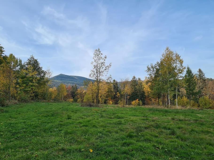 Rezydencja Green Hill - Ekskluzywny Dom W Karpaczu Eksteriør bilde